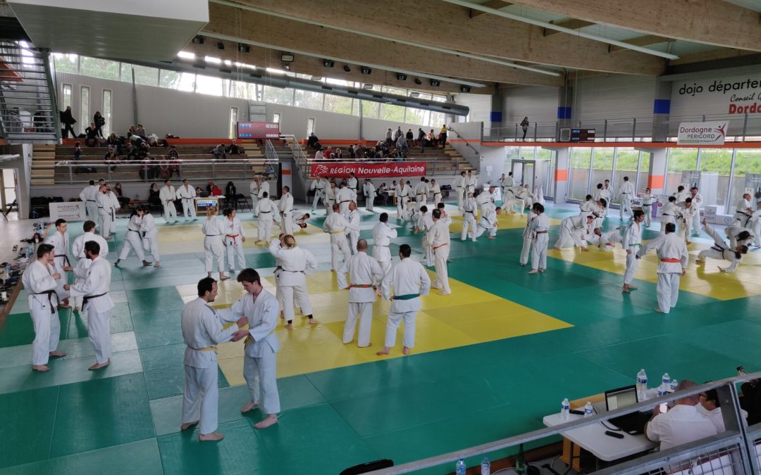 Ceinture de couleurs à Coulounieix-chamiers – 7 avril 2019