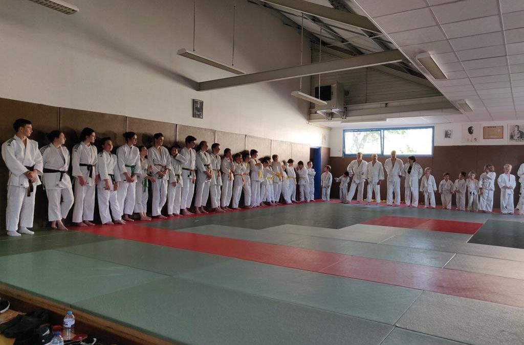 Remise des ceintures – 26 juin 2019